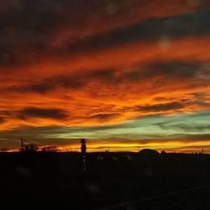 Meet your Posher, Debra jean